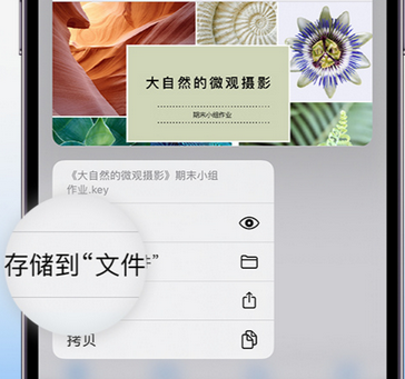 灵璧apple维修中心分享iPhone文件应用中存储和找到下载文件