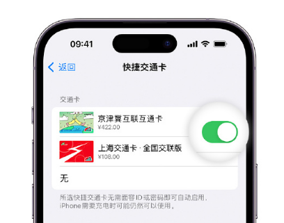 灵璧apple维修点分享iPhone上更换Apple Pay快捷交通卡手绘卡面 