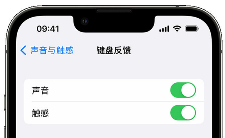 灵璧苹果手机维修分享iPhone 14触感键盘使用方法 