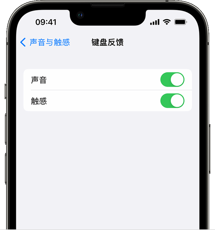 灵璧苹果14维修店分享如何在 iPhone 14 机型中使用触感键盘 