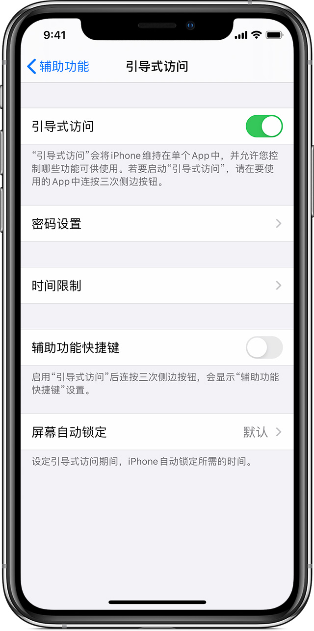 灵璧苹果手机维修分享如何在 iPhone 上退出引导式访问 