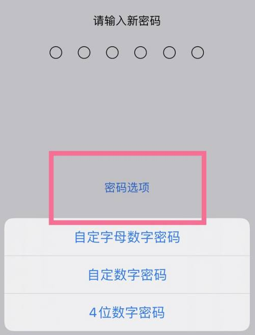 灵璧苹果14维修分享iPhone 14plus设置密码的方法 