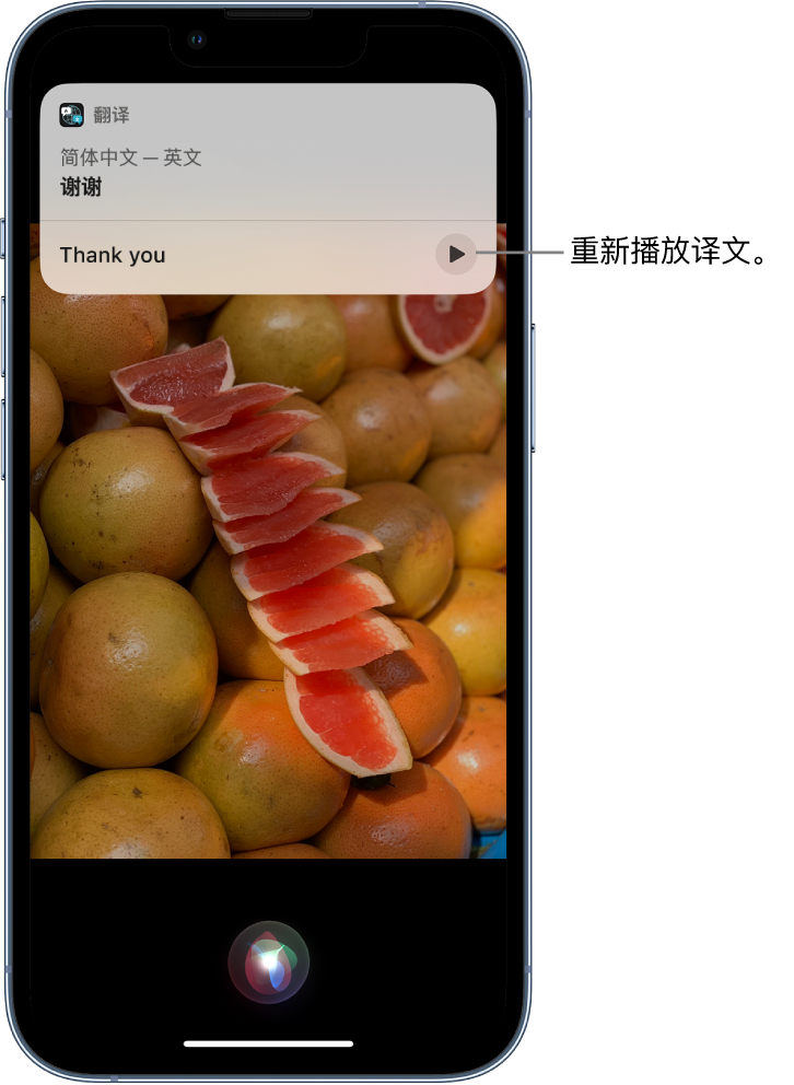 灵璧苹果14维修分享 iPhone 14 机型中使用 Siri：了解 Siri 能帮你做什么 